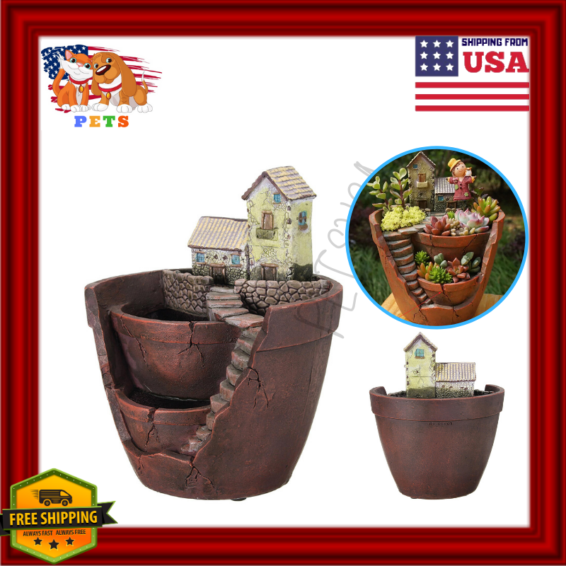 plant gift for girlfriend